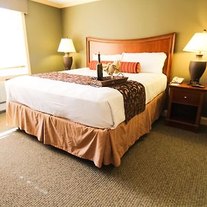 Standard One Bed Room Suite